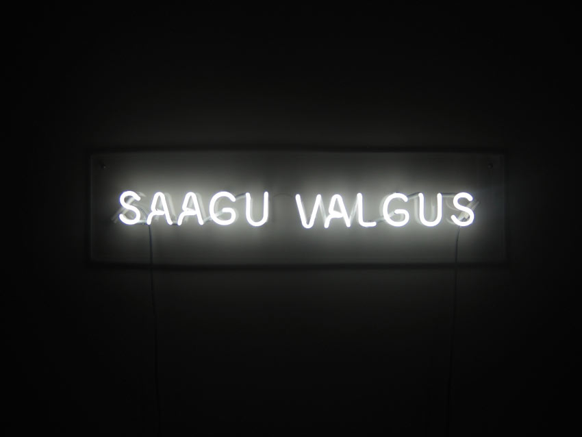 saagu valgus